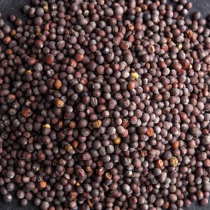 Black Mustard (Kali Sarso) 100 g