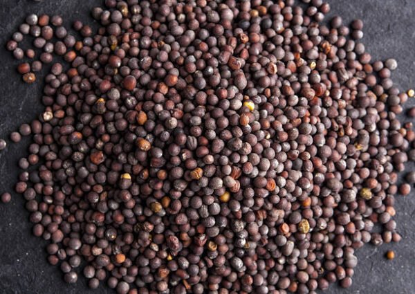 Black Mustard (Kali Sarso) 100 g
