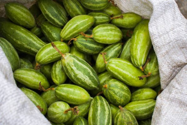 Pointed Gourd (Parwal) - 500 g